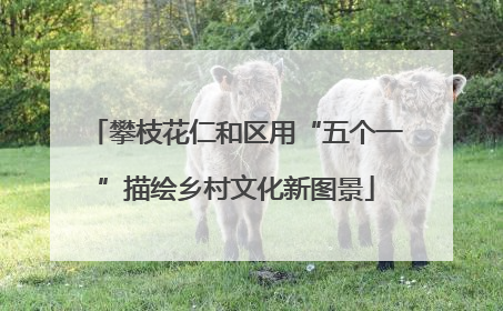攀枝花仁和区用“五个一”描绘乡村文化新图景