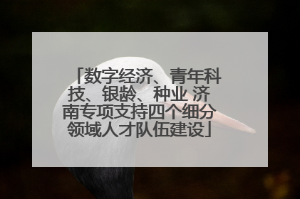 数字经济、青年科技、银龄、种业 济南专项支持四个细分领域人才队伍建设