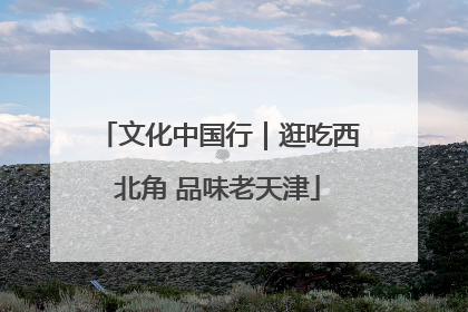 文化中国行｜逛吃西北角 品味老天津