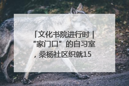 文化书院进行时｜“家门口”的自习室，桑杨社区织就15分钟学习生活圈