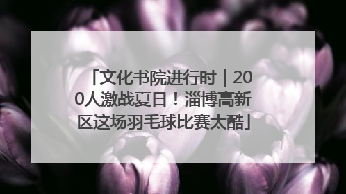 文化书院进行时｜200人激战夏日！淄博高新区这场羽毛球比赛太酷