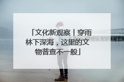 文化新观察丨穿雨林下深海，这里的文物普查不一般