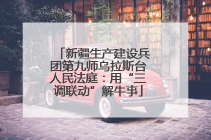 新疆生产建设兵团第九师乌拉斯台人民法庭：用“三调联动”解牛事