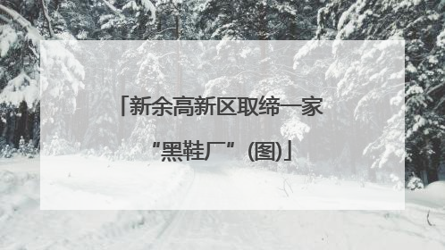 新余高新区取缔一家“黑鞋厂”(图)