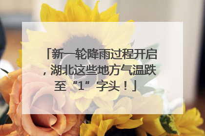 新一轮降雨过程开启，湖北这些地方气温跌至“1”字头！