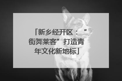 新乡经开区：“街舞莱客”打造青年文化新地标