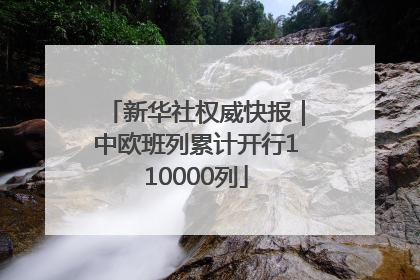 新华社权威快报｜中欧班列累计开行110000列