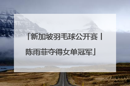 新加坡羽毛球公开赛丨陈雨菲夺得女单冠军