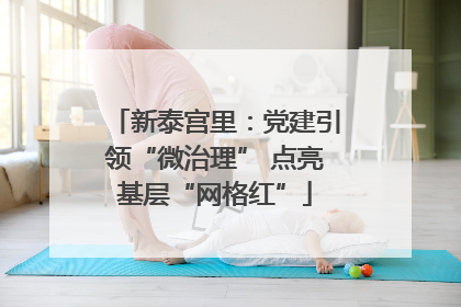 新泰宫里：党建引领“微治理” 点亮基层“网格红”