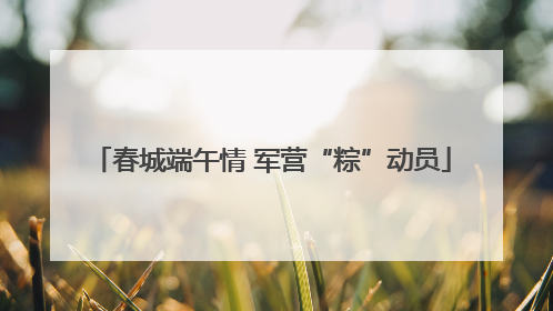 春城端午情 军营“粽”动员