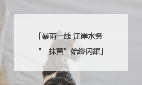 暴雨一线 江岸水务“一抹黄”始终闪耀
