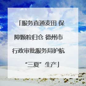 服务直通麦田 保障颗粒归仓 德州市行政审批服务局护航“三夏”生产