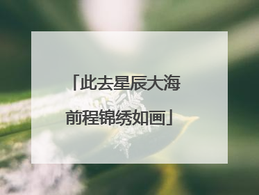 此去星辰大海 前程锦绣如画