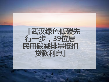 武汉绿色低碳先行一步，39位居民用碳减排量抵扣贷款利息