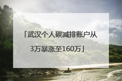 武汉个人碳减排账户从3万暴涨至160万