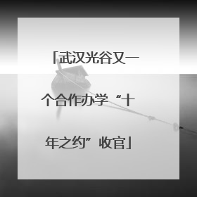 武汉光谷又一个合作办学“十年之约”收官