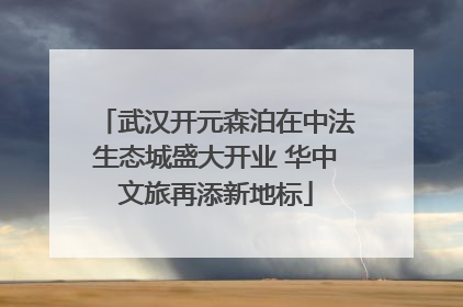 武汉开元森泊在中法生态城盛大开业 华中文旅再添新地标