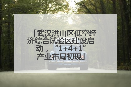 武汉洪山区低空经济综合试验区建设启动，“1+4+1”产业布局初现