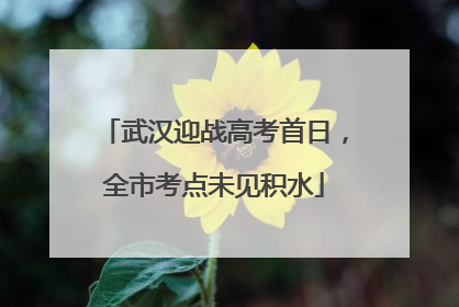 武汉迎战高考首日，全市考点未见积水