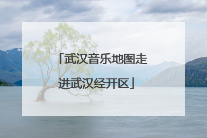 武汉音乐地图走进武汉经开区