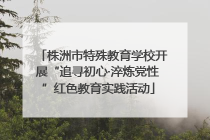 株洲市特殊教育学校开展“追寻初心·淬炼党性”红色教育实践活动