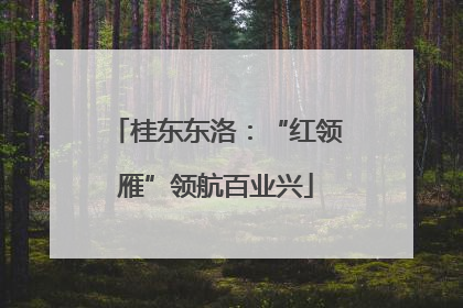 桂东东洛：“红领雁”领航百业兴