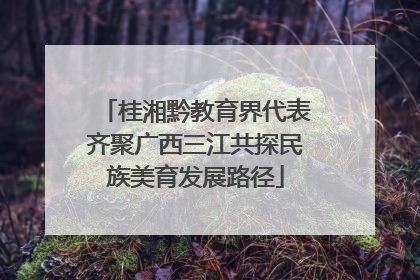 桂湘黔教育界代表齐聚广西三江共探民族美育发展路径