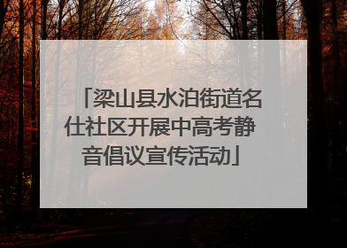 梁山县水泊街道名仕社区开展中高考静音倡议宣传活动