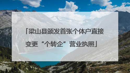 梁山县颁发首张个体户直接变更“个转企”营业执照