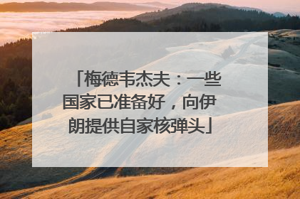 梅德韦杰夫：一些国家已准备好，向伊朗提供自家核弹头