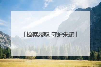 检察履职 守护朱鹮