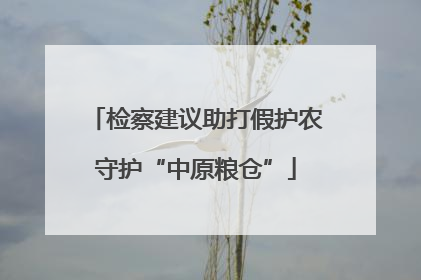 检察建议助打假护农守护“中原粮仓”