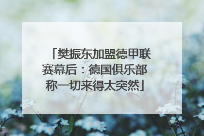 樊振东加盟德甲联赛幕后：德国俱乐部称一切来得太突然