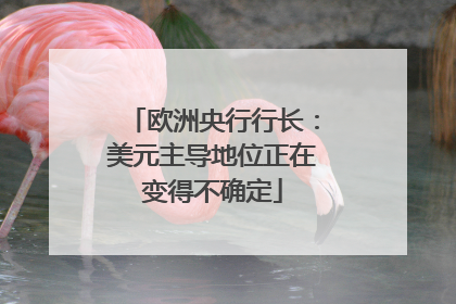 欧洲央行行长：美元主导地位正在变得不确定