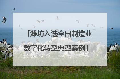 潍坊入选全国制造业数字化转型典型案例