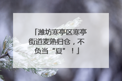 潍坊寒亭区寒亭街道麦熟归仓，不负当“夏”！