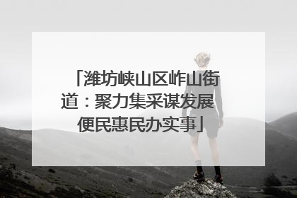 潍坊峡山区岞山街道：聚力集采谋发展 便民惠民办实事