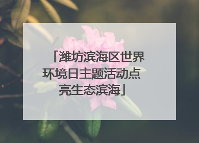 潍坊滨海区世界环境日主题活动点亮生态滨海