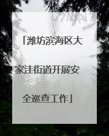 潍坊滨海区大家洼街道开展安全巡查工作