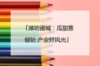 潍坊诸城：瓜甜葱郁处 产业好风光