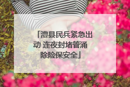 澧县民兵紧急出动 连夜封堵管涌除险保安全