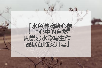水色淋漓绘心象！“心中的自然”周崇涨水彩写生作品展在临安开幕