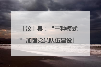 汶上县：“三种模式”加强党员队伍建设