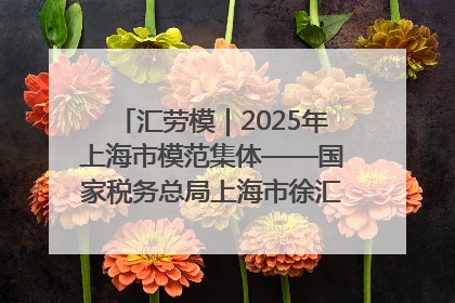 汇劳模｜2025年上海市模范集体——国家税务总局上海市徐汇区税务局第一税务所