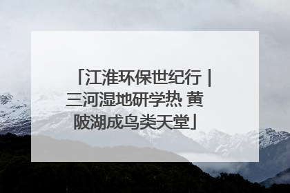 江淮环保世纪行｜三河湿地研学热 黄陂湖成鸟类天堂