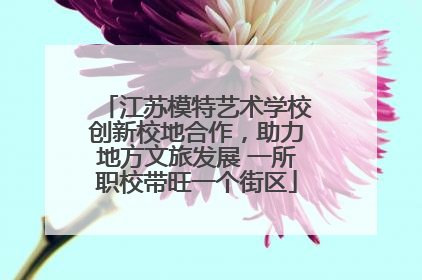 江苏模特艺术学校创新校地合作，助力地方文旅发展 一所职校带旺一个街区