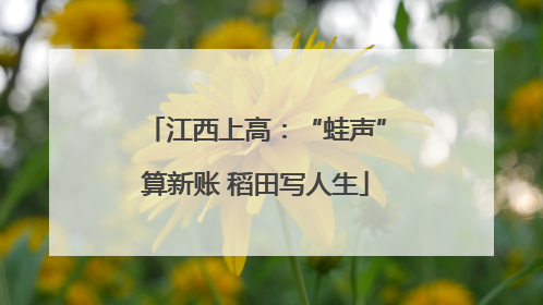 江西上高：“蛙声”算新账 稻田写人生