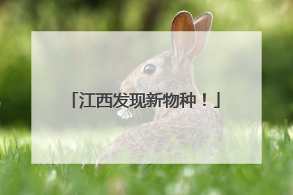江西发现新物种！