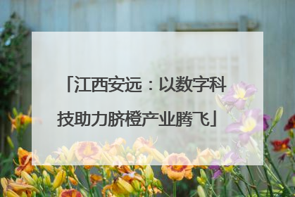 江西安远：以数字科技助力脐橙产业腾飞