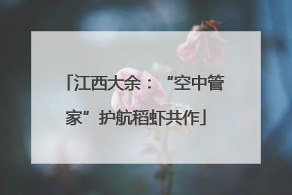江西大余：“空中管家”护航稻虾共作